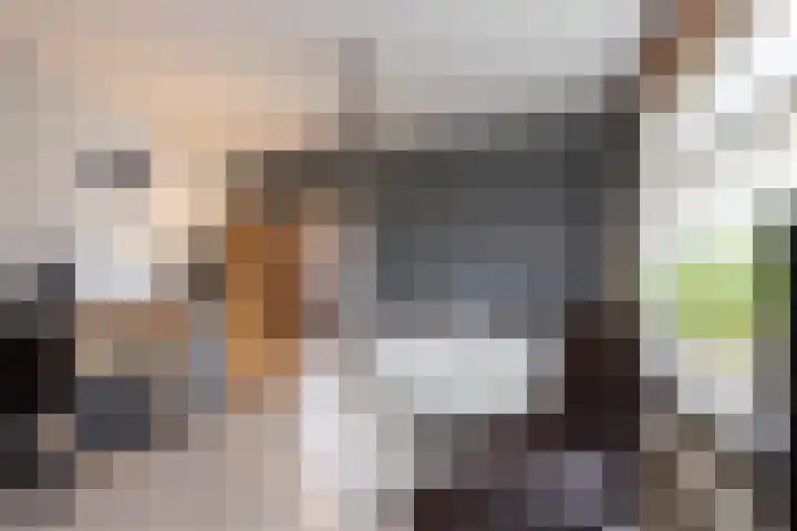 Oude Borculoseweg 18 Neede thumbnail 4
