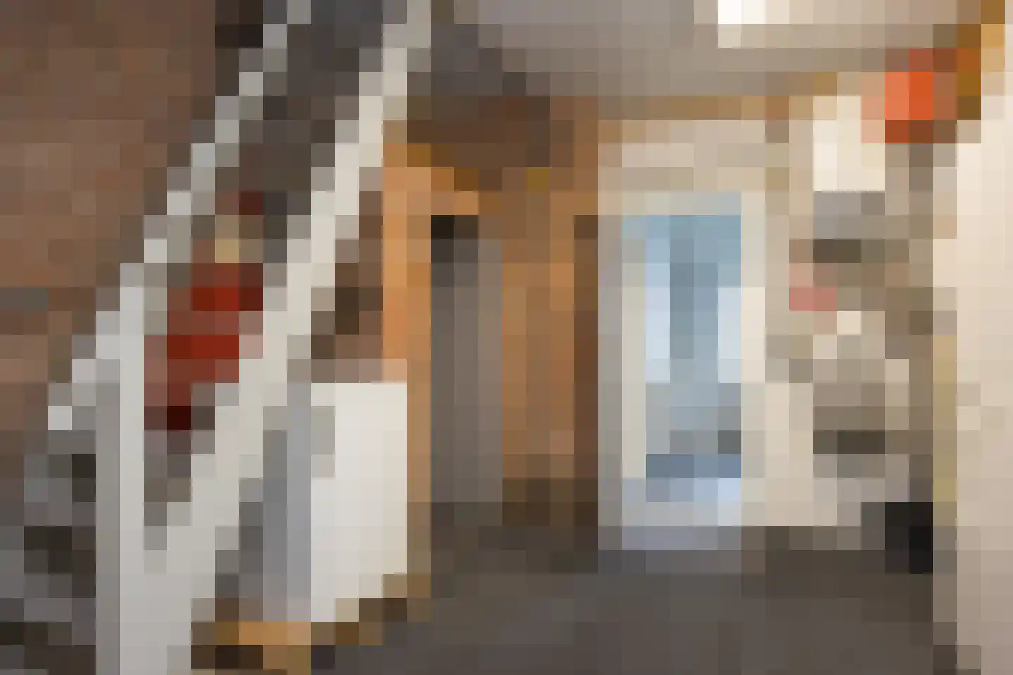 Oude Borculoseweg 6 Gelselaar thumbnail 19