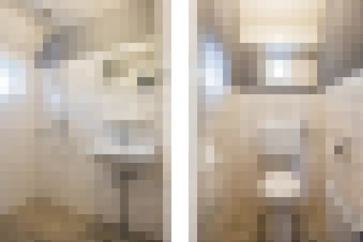 Oude Borculoseweg 6 Gelselaar thumbnail 21