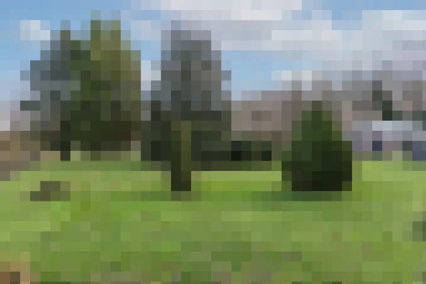 Oude Borculoseweg 6 Gelselaar thumbnail 28
