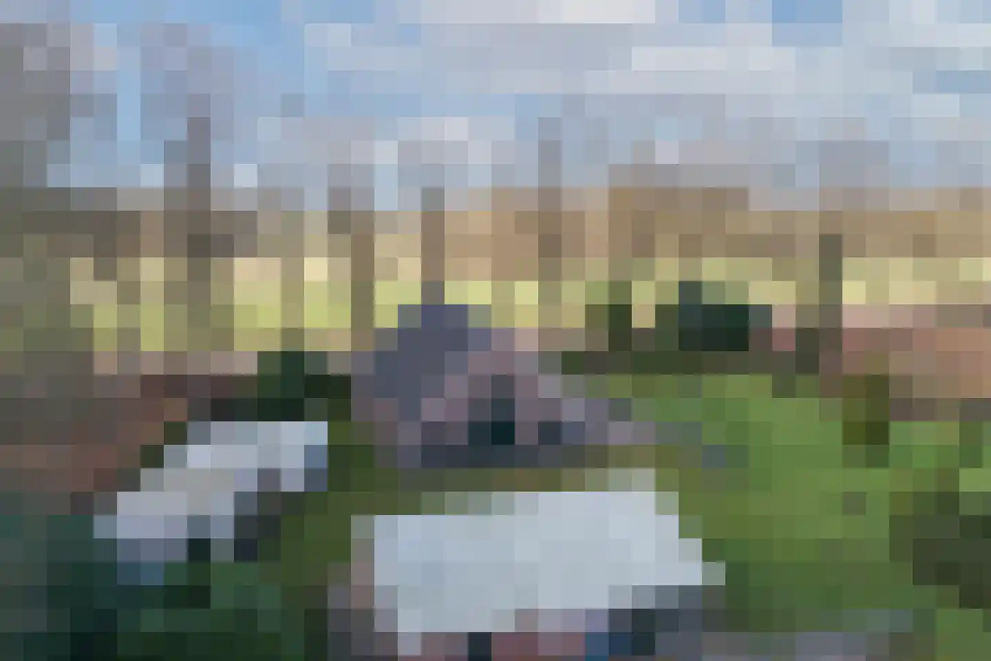 Oude Borculoseweg 6 Gelselaar thumbnail 30