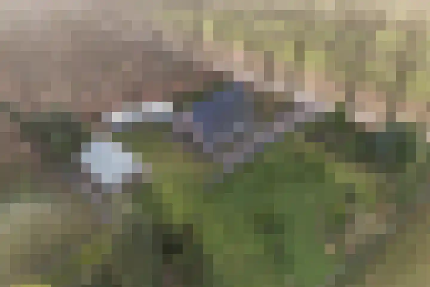 Oude Borculoseweg 6 Gelselaar thumbnail 31