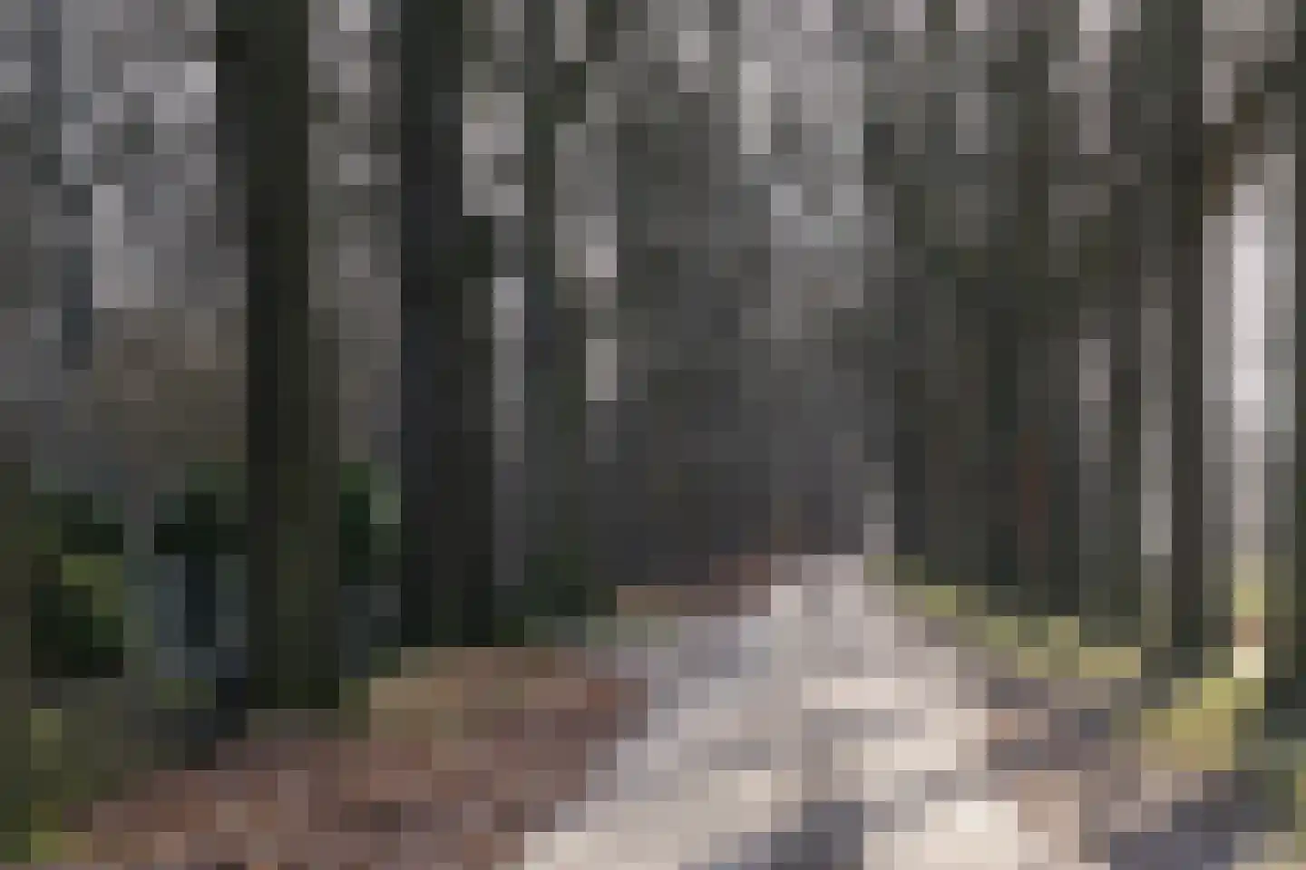 Oude Borculoseweg 6 Gelselaar thumbnail 37