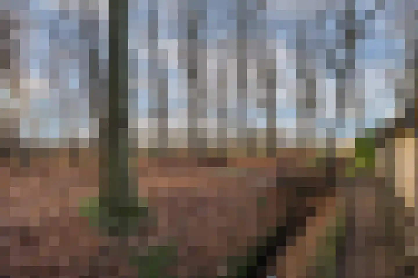 Oude Borculoseweg 6 Gelselaar thumbnail 38