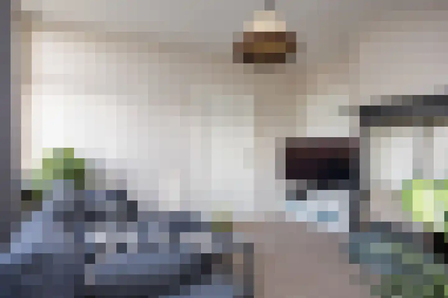 Oude Borculoseweg 6 Gelselaar thumbnail 9