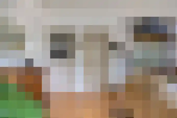 Oude Borculoseweg 6 Warnsveld thumbnail 12
