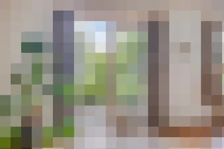 Oude Borculoseweg 6 Warnsveld thumbnail 14