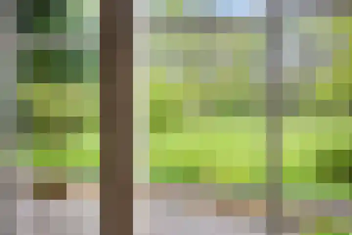 Oude Borculoseweg 6 Warnsveld thumbnail 17