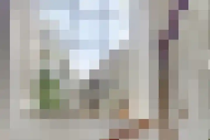 Oude Borculoseweg 6 Warnsveld thumbnail 28