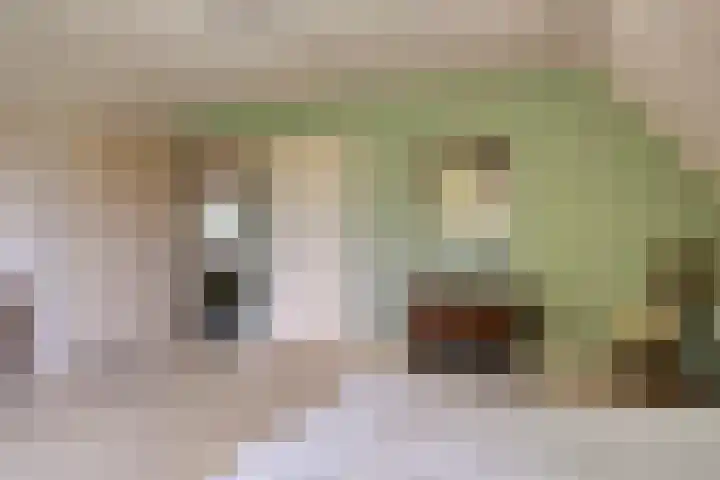 Oude Borculoseweg 6 Warnsveld thumbnail 31
