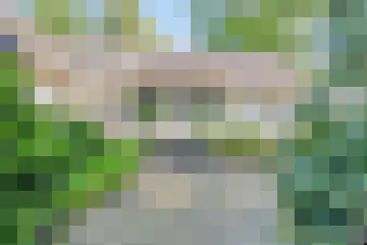 Oude Borculoseweg 6 Warnsveld thumbnail 4