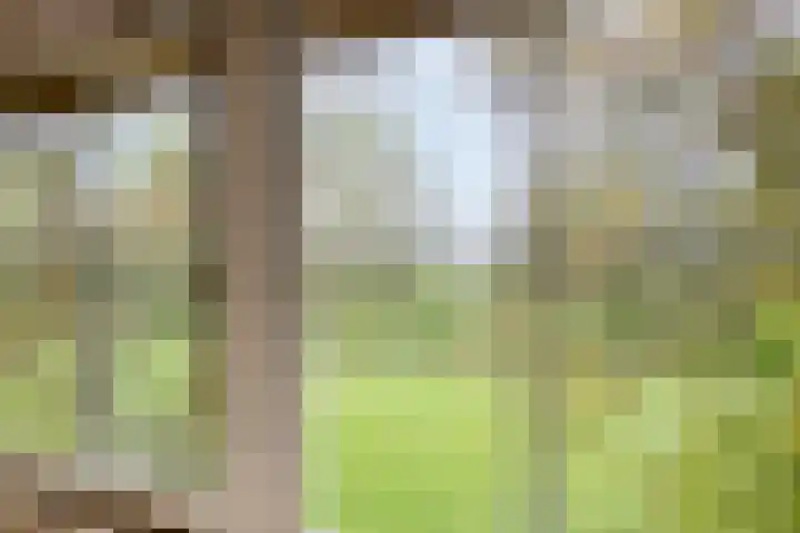 Oude Borculoseweg 6 Warnsveld thumbnail 44