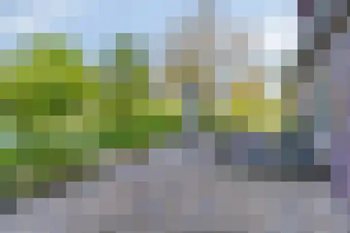 Oude Borculoseweg 6 Warnsveld thumbnail 47