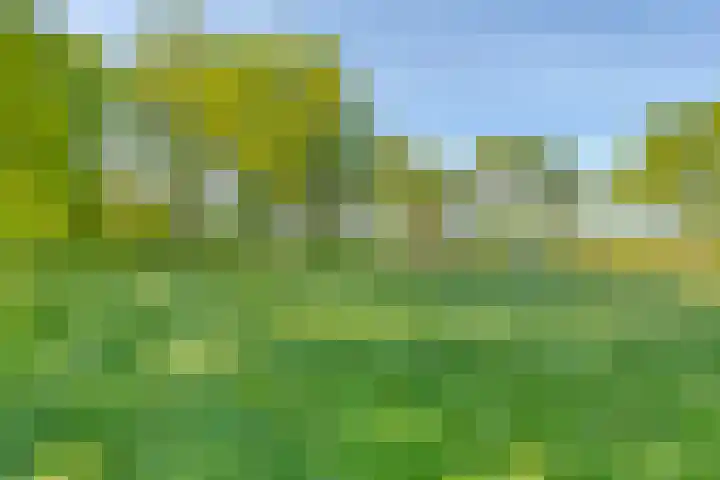Oude Borculoseweg 6 Warnsveld thumbnail 48