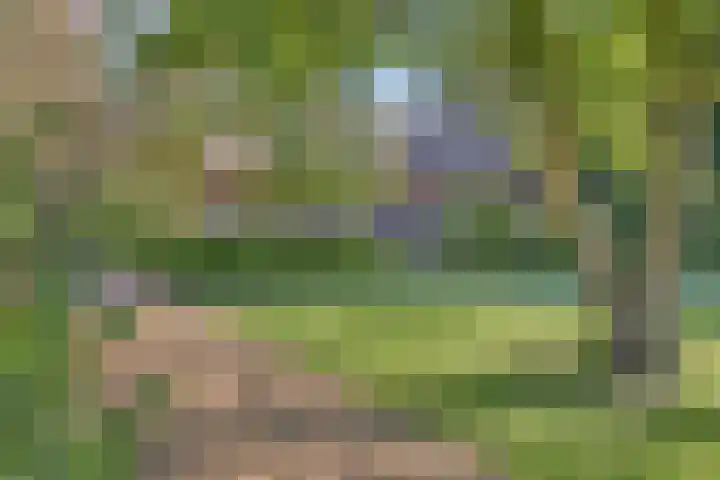 Oude Borculoseweg 6 Warnsveld thumbnail 49