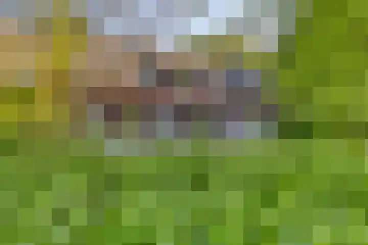 Oude Borculoseweg 6 Warnsveld thumbnail 5