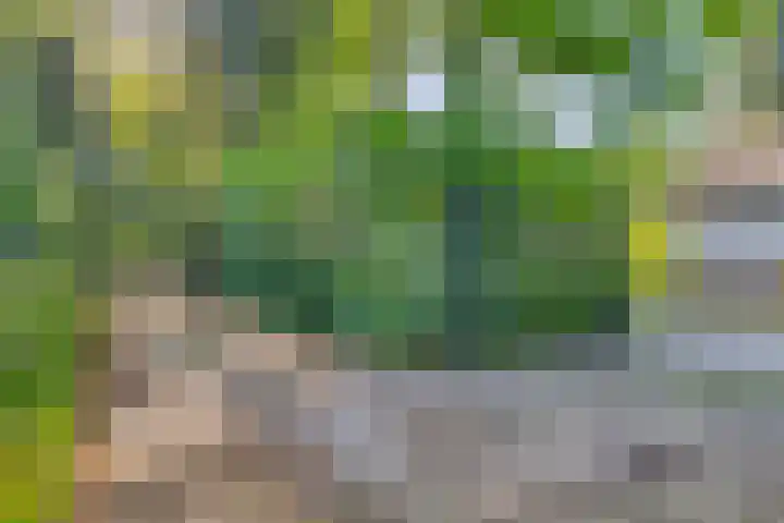 Oude Borculoseweg 6 Warnsveld thumbnail 50
