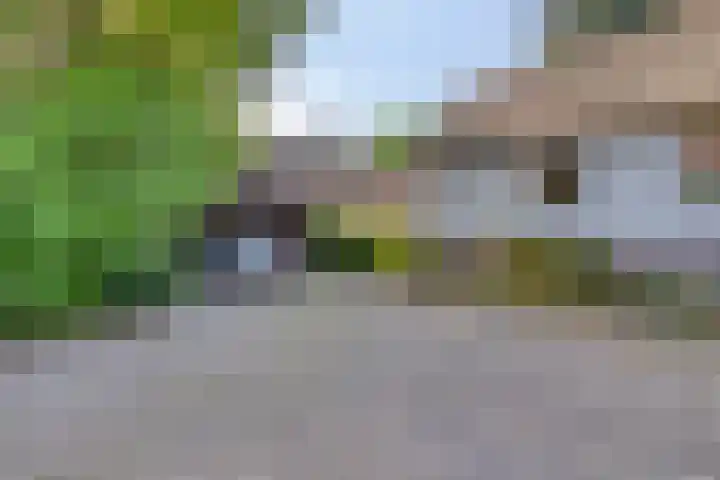 Oude Borculoseweg 6 Warnsveld thumbnail 52