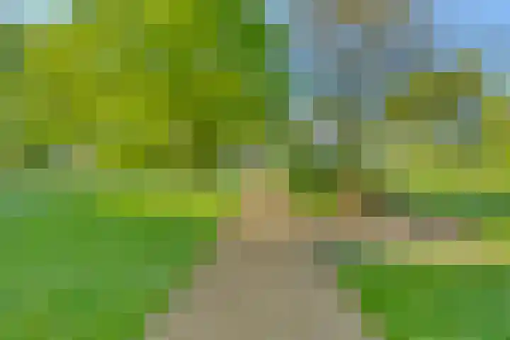 Oude Borculoseweg 6 Warnsveld thumbnail 54