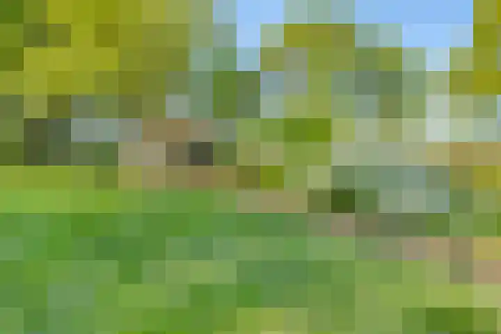 Oude Borculoseweg 6 Warnsveld thumbnail 55