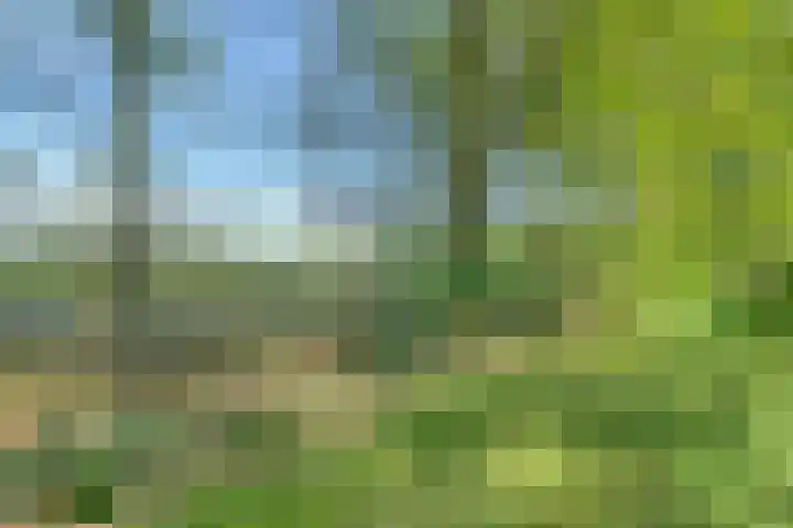 Oude Borculoseweg 6 Warnsveld thumbnail 56