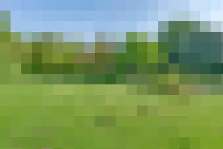 Oude Borculoseweg 6 Warnsveld thumbnail 7