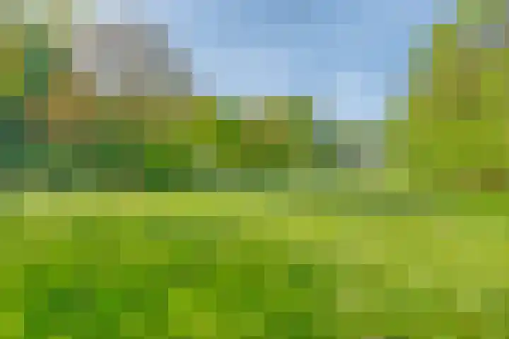Oude Borculoseweg 6 Warnsveld thumbnail 8