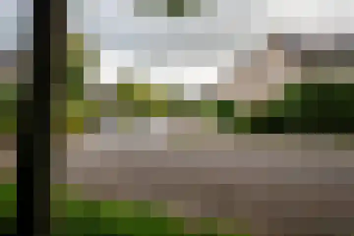 Oude Borg 17 Haren Gn thumbnail 10