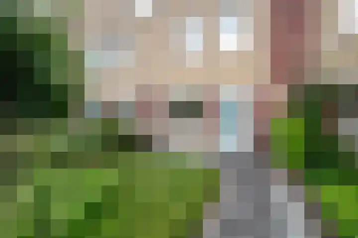 Oude Borg 17 Haren Gn thumbnail 11