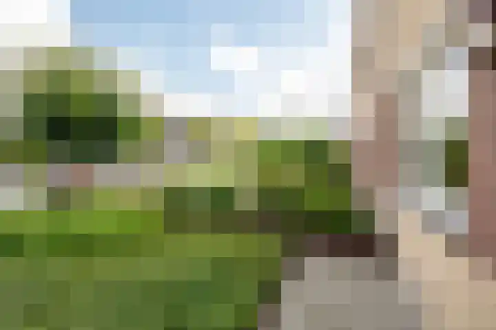 Oude Borg 17 Haren Gn thumbnail 13