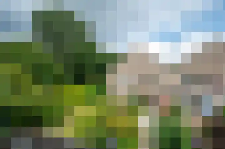 Oude Borg 17 Haren Gn thumbnail 37