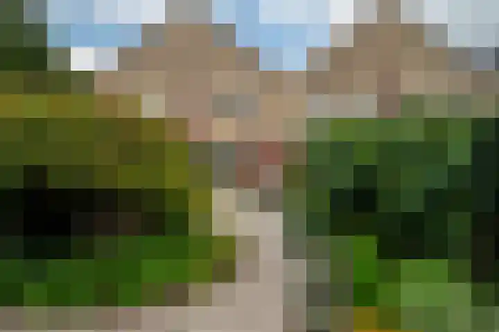 Oude Borg 17 Haren Gn thumbnail 38