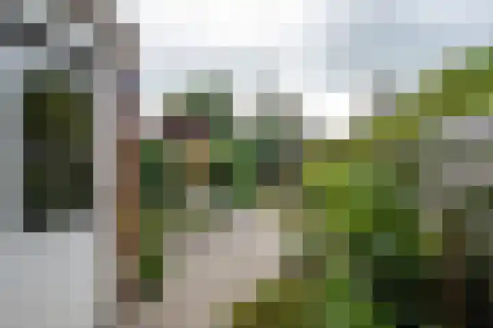 Oude Borg 17 Haren Gn thumbnail 42