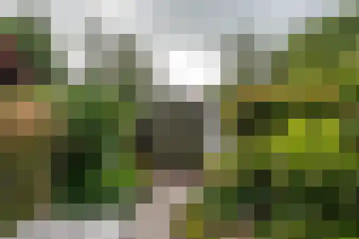 Oude Borg 17 Haren Gn thumbnail 43