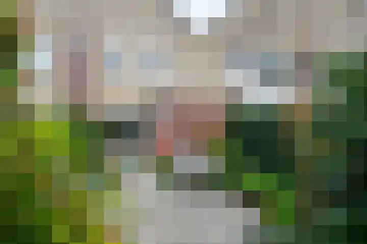 Oude Borg 17 Haren Gn thumbnail 5