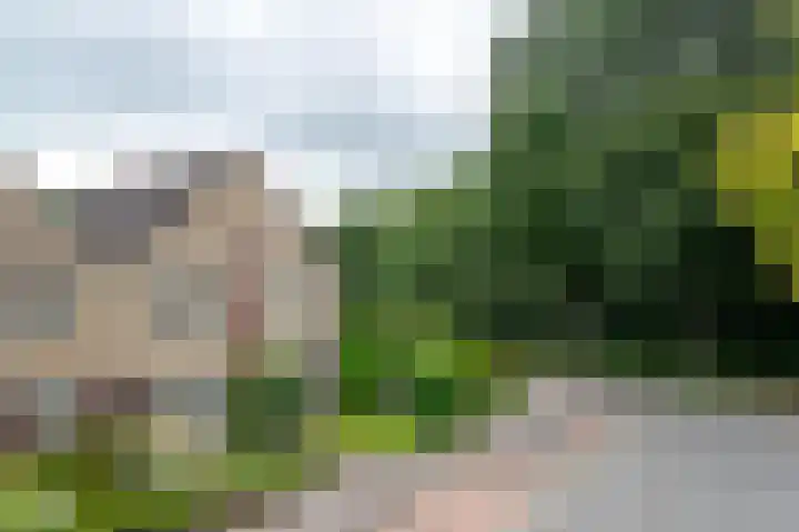Oude Borg 17 Haren Gn thumbnail 6