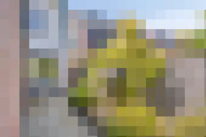 Oude Bornseweg 114 Hengelo thumbnail 34