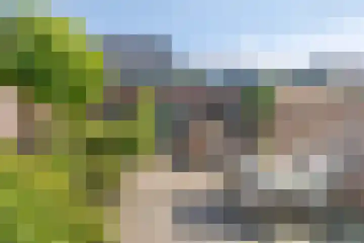 Oude Bornseweg 114 Hengelo thumbnail 36