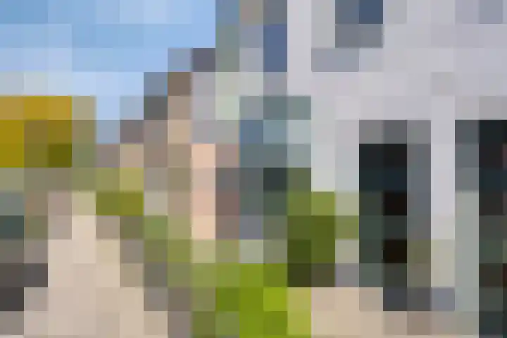 Oude Bornseweg 114 Hengelo thumbnail 6