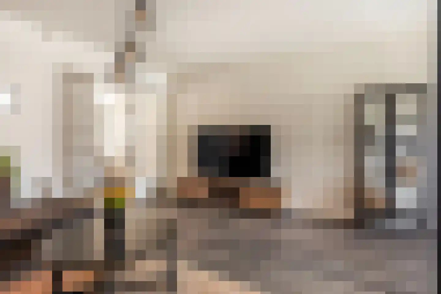 Oude Bornseweg 120 Hengelo thumbnail 13