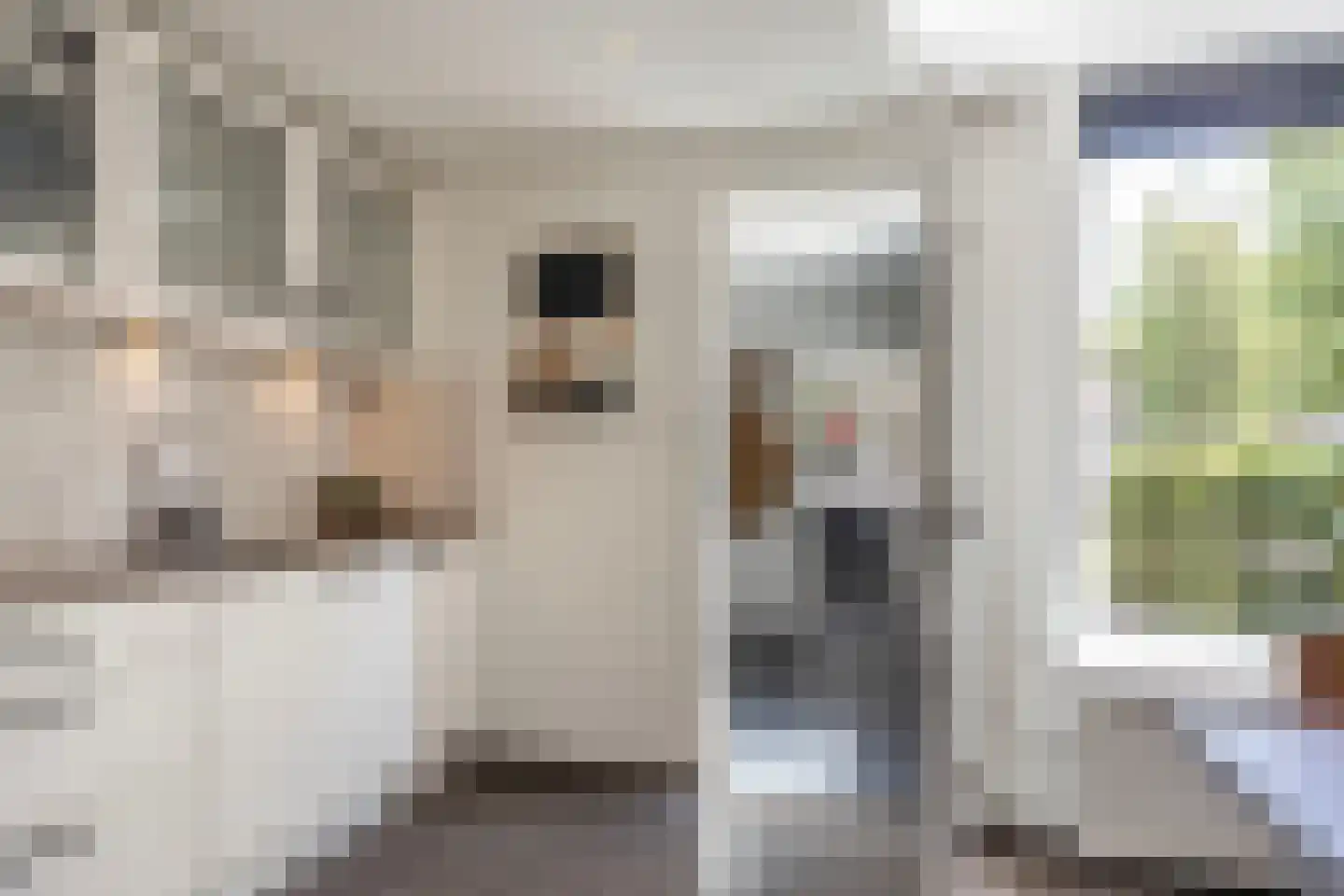 Oude Bornseweg 120 Hengelo thumbnail 19