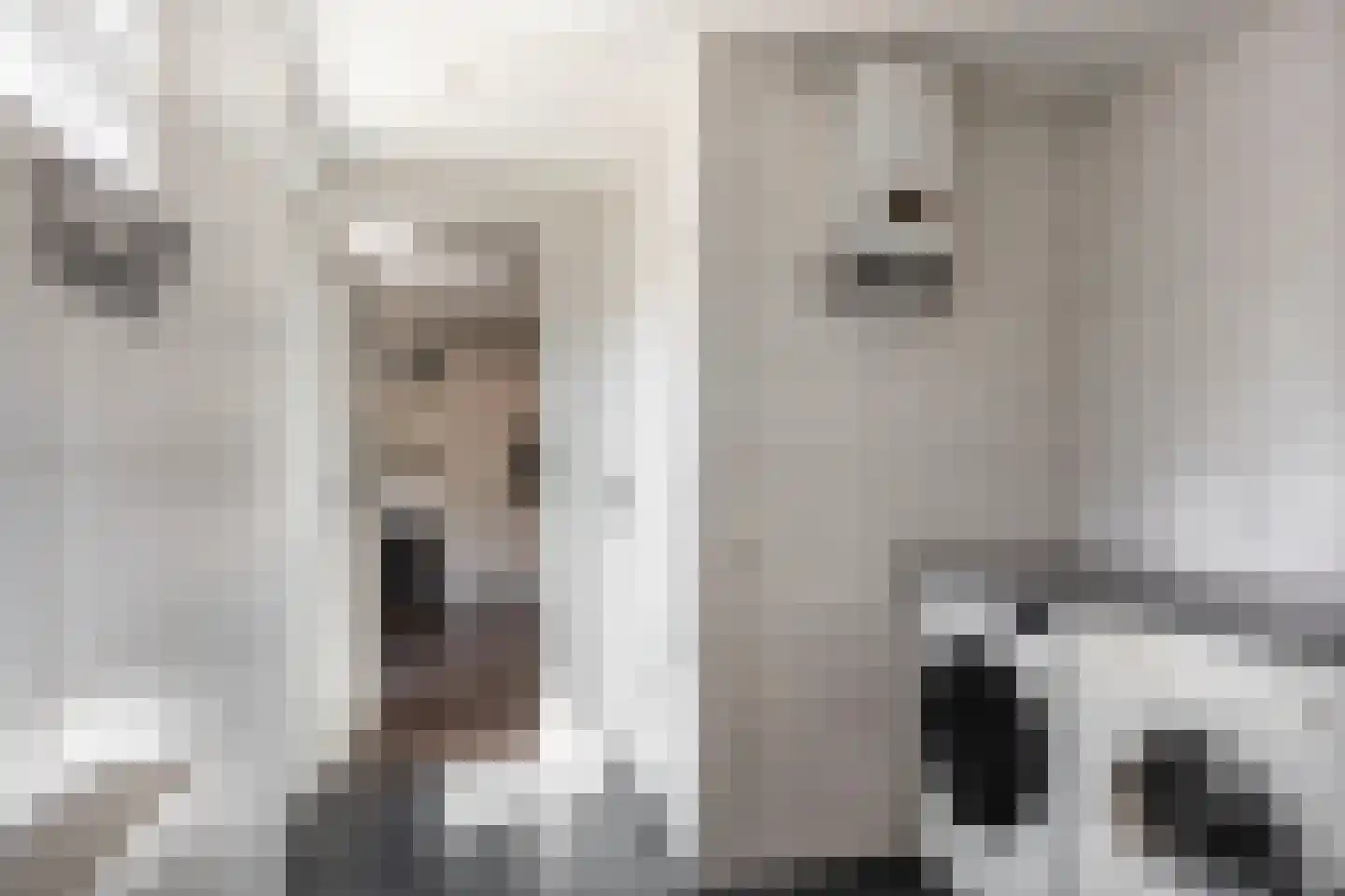 Oude Bornseweg 120 Hengelo thumbnail 20