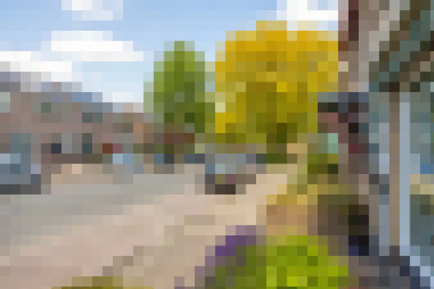 Oude Bornseweg 120 Hengelo thumbnail 45