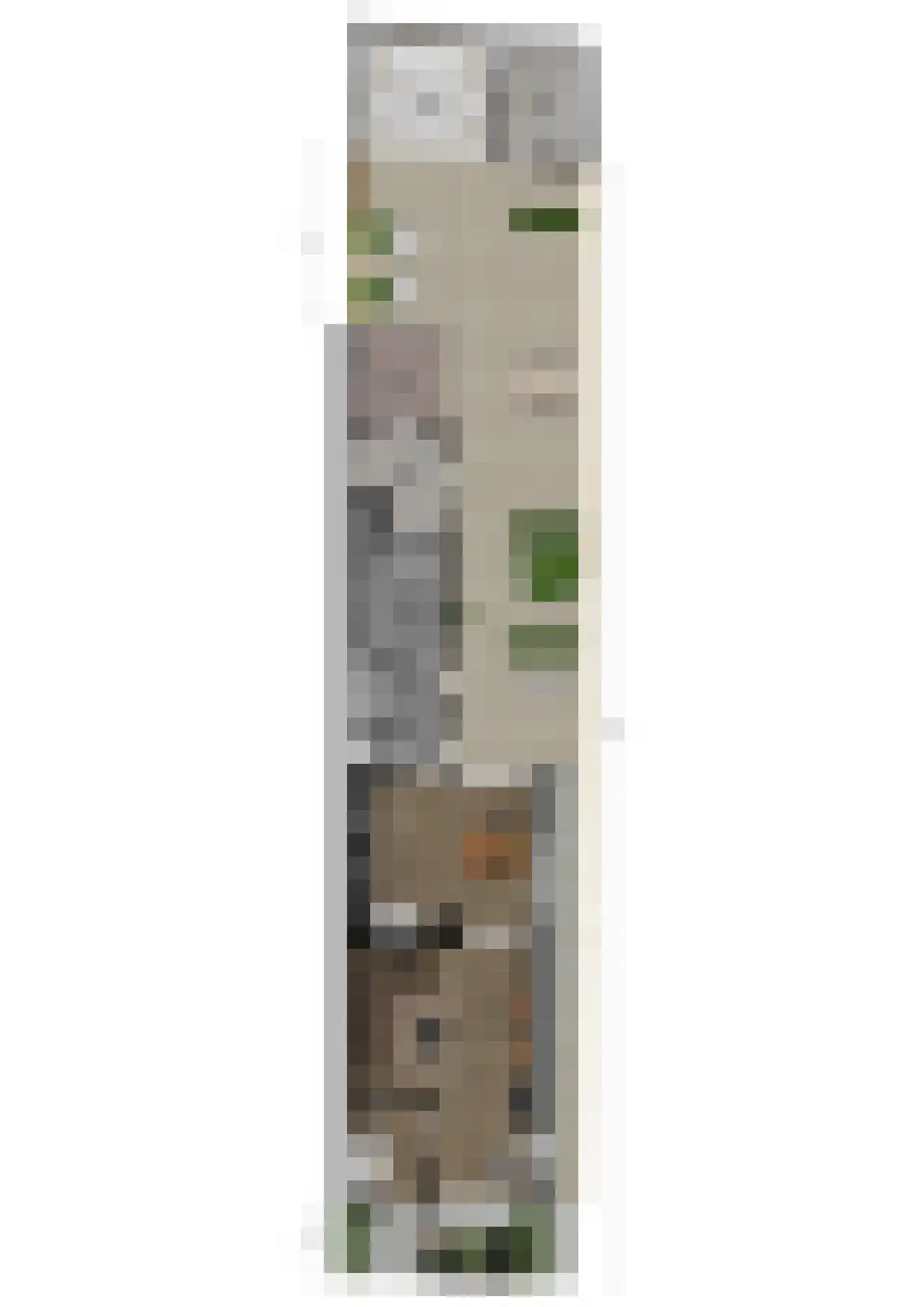 Oude Bornseweg 120 Hengelo thumbnail 51