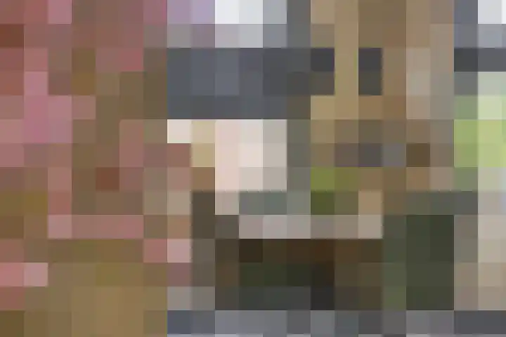 Oude Bornseweg 142 Hengelo thumbnail 12