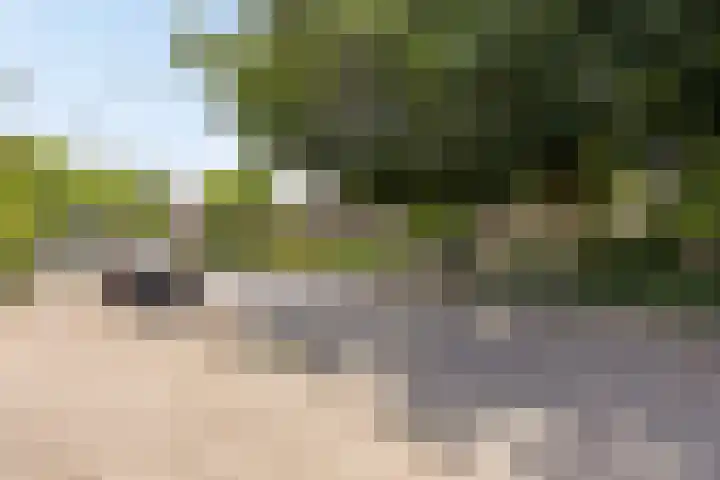 Oude Bornseweg 142 Hengelo thumbnail 35