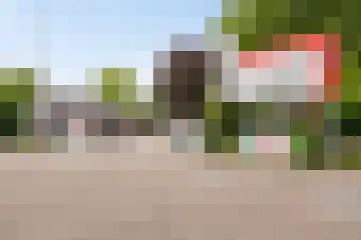 Oude Bornseweg 142 Hengelo thumbnail 36
