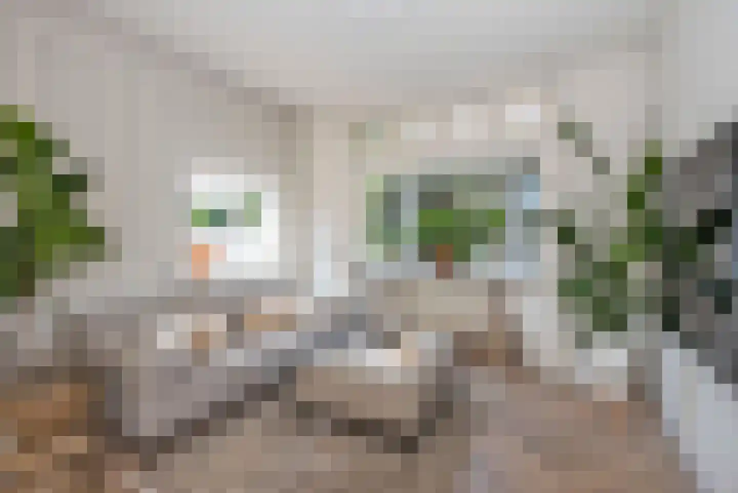 Oude Bornseweg 90 Hengelo thumbnail 7