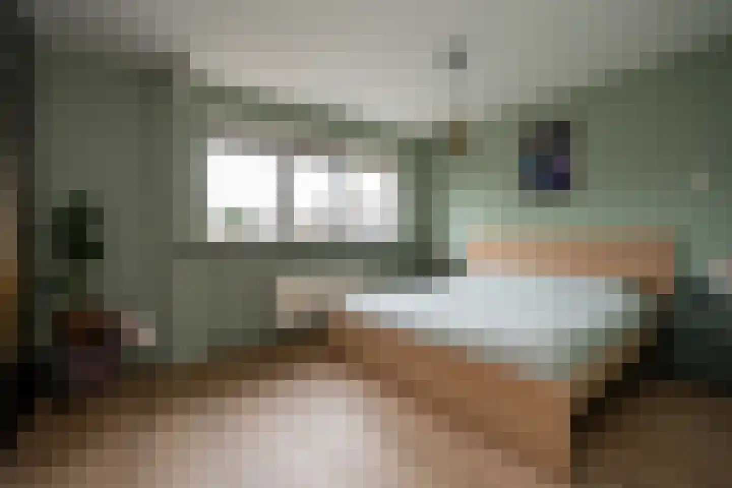 Oude Bos 18 Veendam thumbnail 20