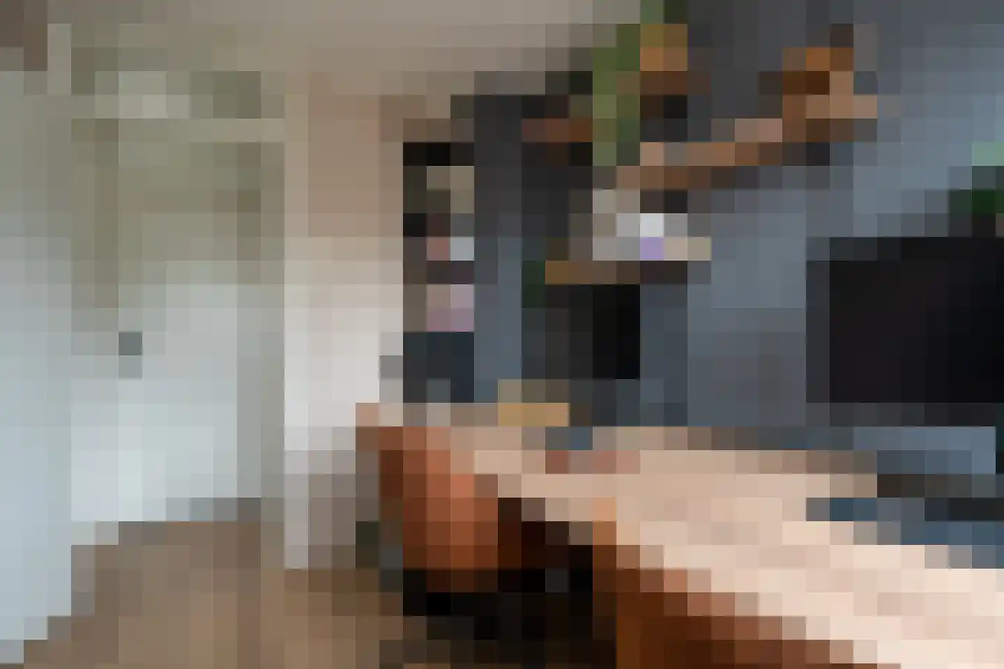 Oude Bos 18 Veendam thumbnail 28
